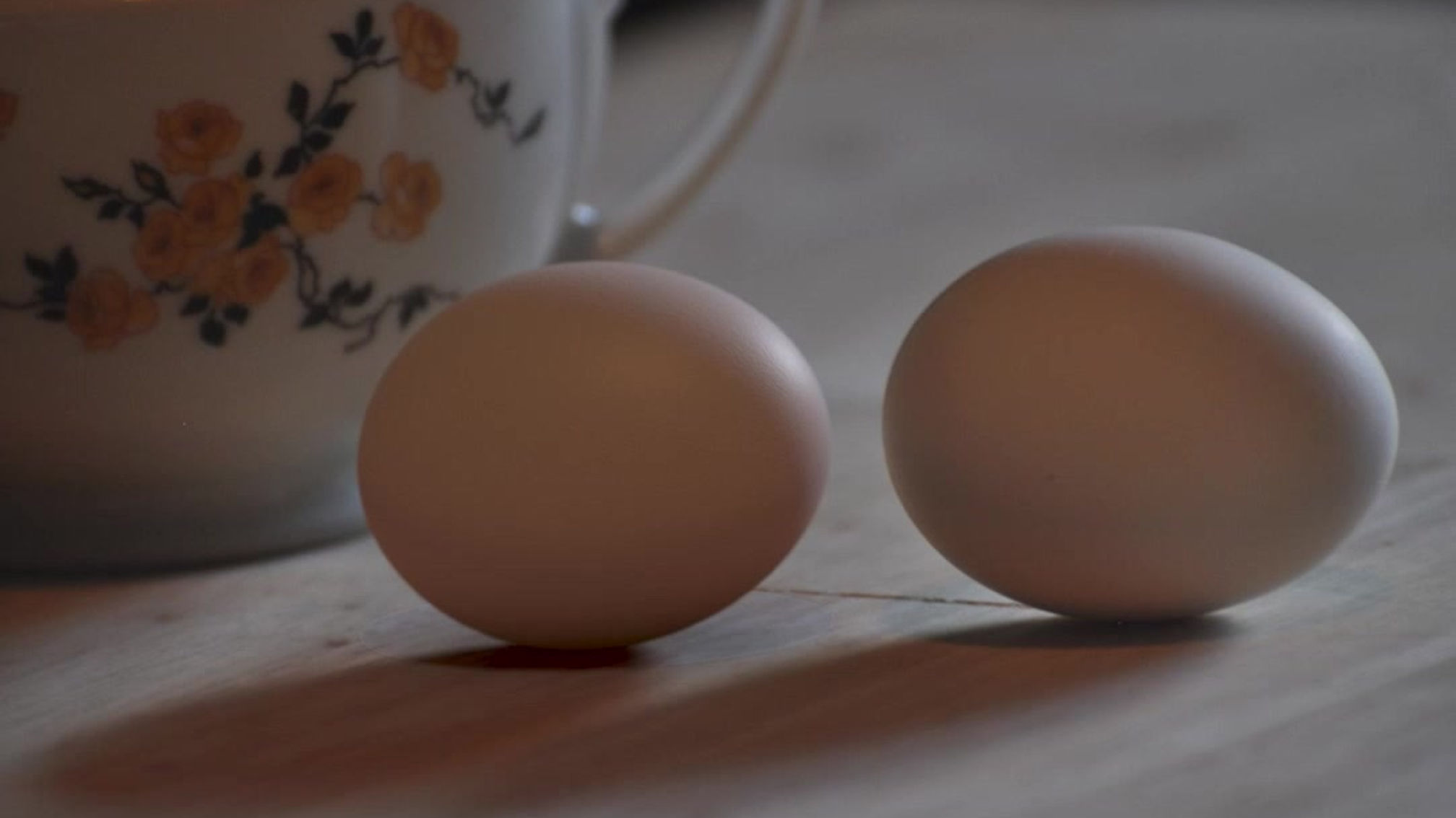 Lighting Match to Live: Egg